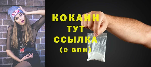 прущий лед Карпинск